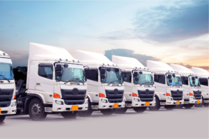 Vận chuyển hàng hóa Bắc Nam